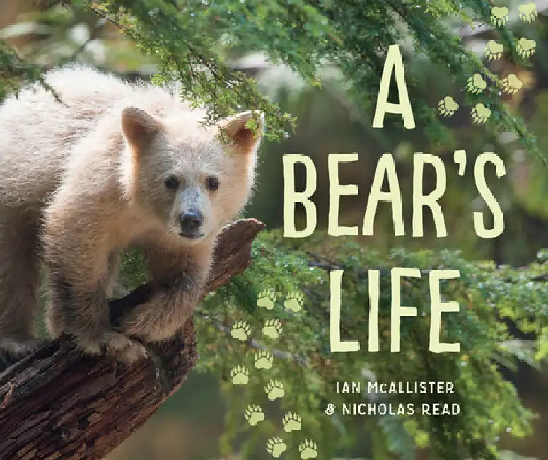 A Bear's Life (English, Ian McAllister | Nicholas Read)