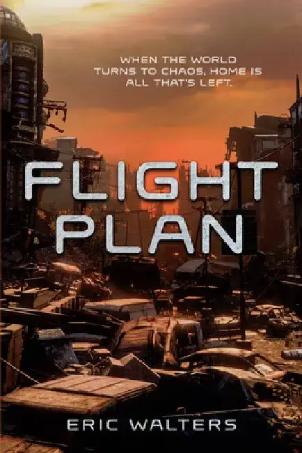 Flight Plan (English, Eric Walters)