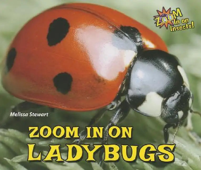 Zoom in on Ladybugs (English, Melissa Stewart)