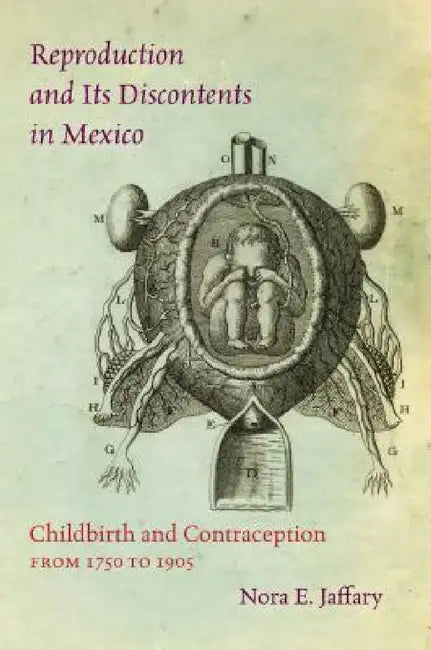 Reproduction and Its Discontents in Mexico (English, Nora E. Jaffary)