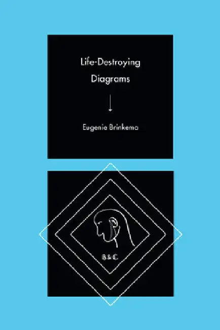 Life-Destroying Diagrams (English, Eugenie Brinkema)