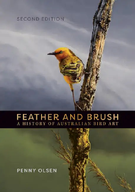 Feather and Brush (English, Penny Olsen)