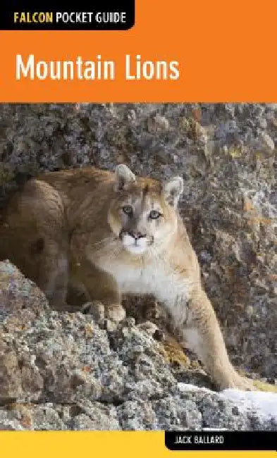 Mountain Lions (English, Jack Ballard)