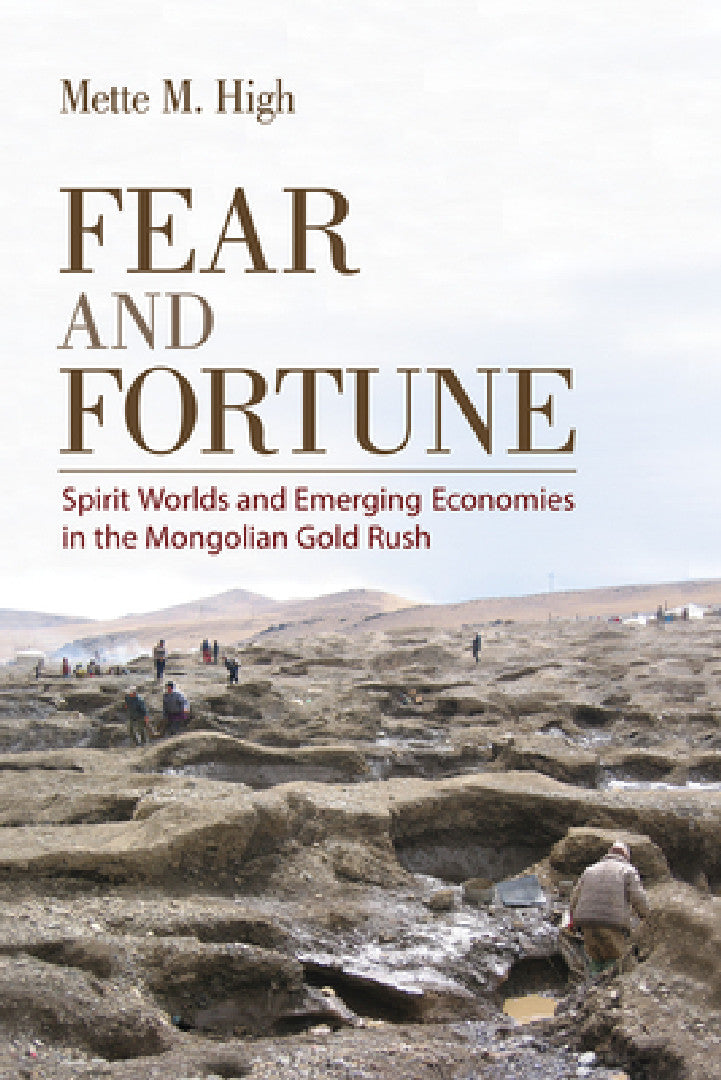Fear and Fortune (English, Mette M. High)