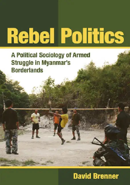 Rebel Politics (English, David Brenner)