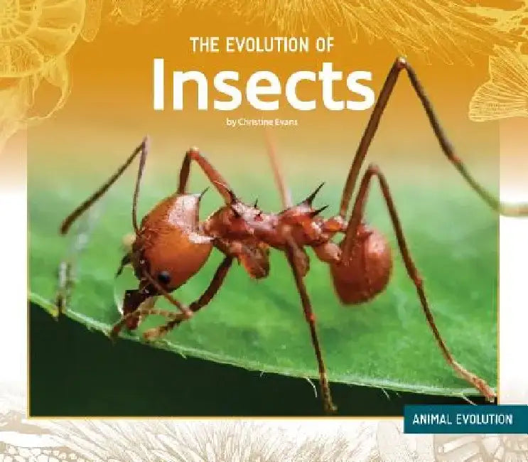 Evolution of Insects (English, Christine Evans)
