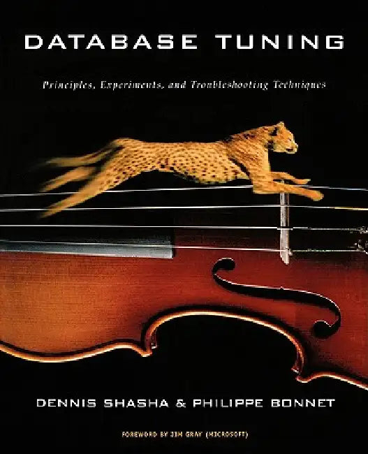 Database Tuning (English, Dennis Elliott Shasha | Philippe Bonnet)