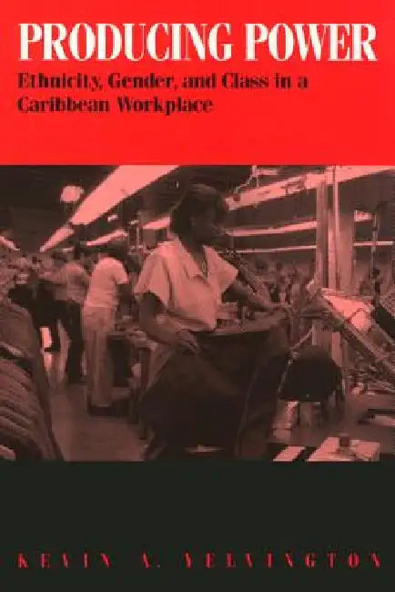 Producing Power (English, Kevin Yelvington)