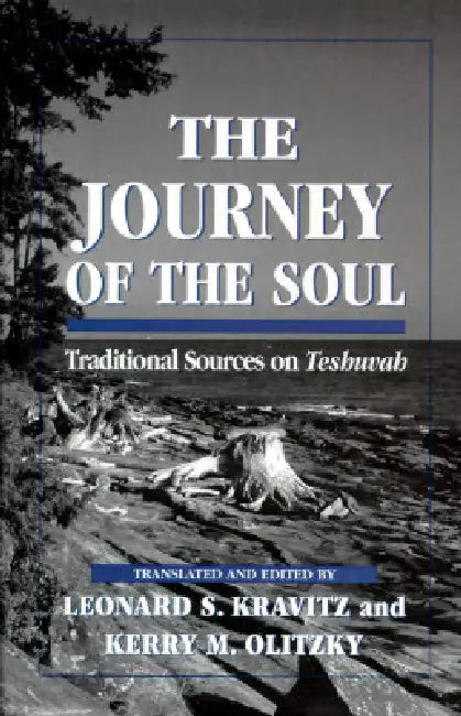 Journey of the Soul (English, Leonard S. Kravitz | Kerry M. Olitzky)