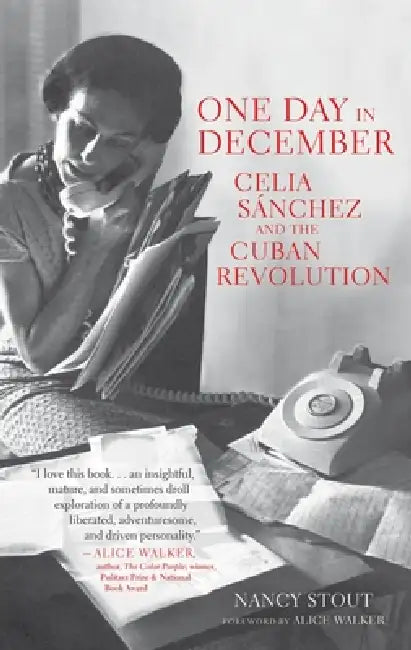 One Day in December (English, Nancy Stout | Alice Walker)
