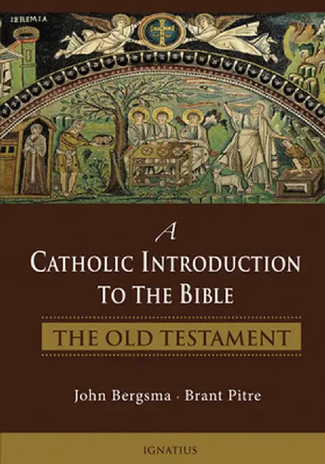 A Catholic Introduction to the Bible (English, Brant Pitre)