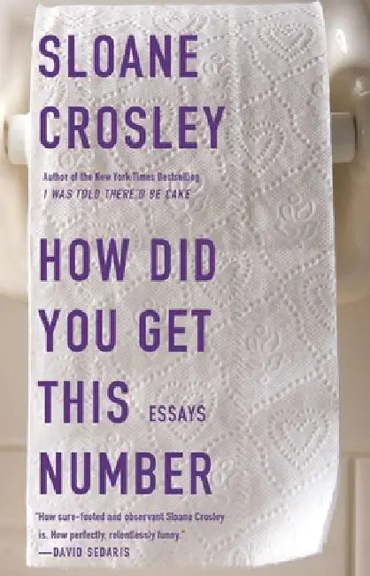 How Did You Get This Number (English, Sloane Crosley)