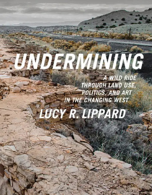 Undermining (English, Lucy R. Lippard)