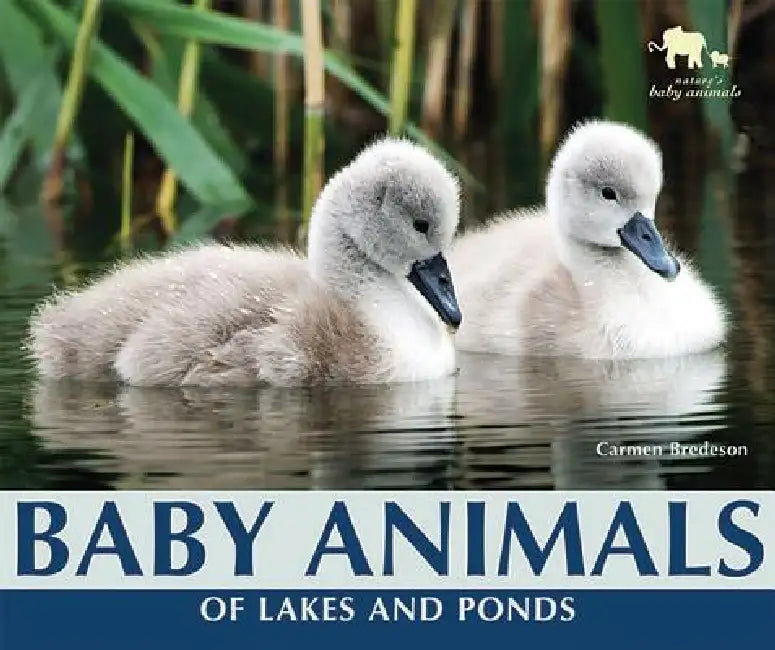 Baby Animals of Lakes and Ponds (English, Carmen Bredeson)
