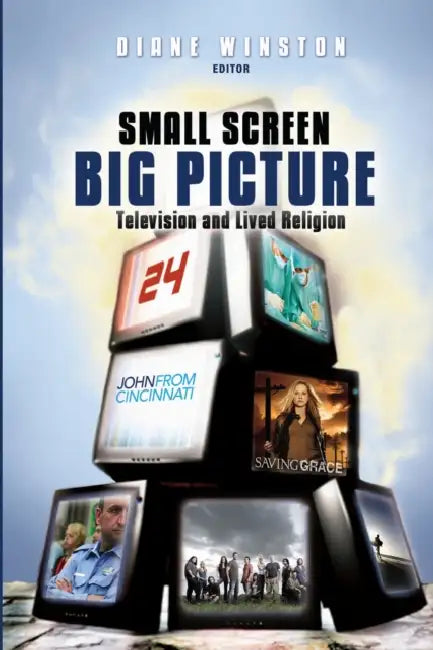 Small Screen, Big Picture (English, Diane Winston)