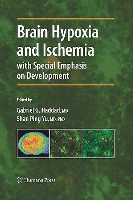 Brain Hypoxia and Ischemia (English, Gabriel G. Haddad | Shan Ping Yu)