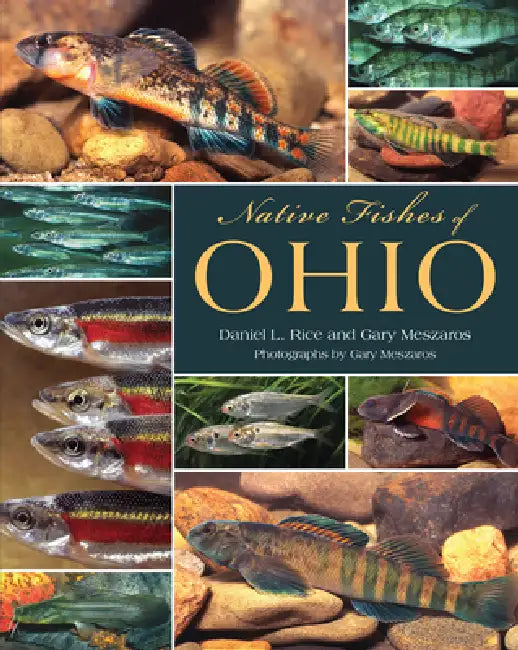 Native Fishes of Ohio (English, Rice | Gary Meszaros | Gary Meszaros)