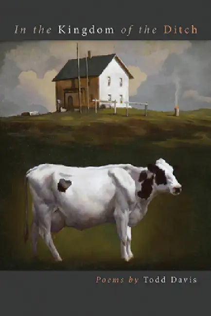 In the Kingdom of the Ditch (English, Todd Davis)
