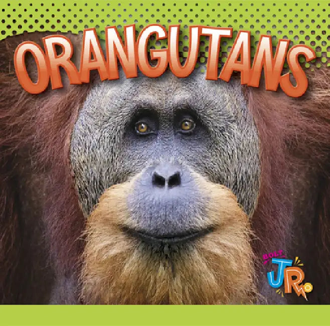 Orangutans (English, Marysa Storm)