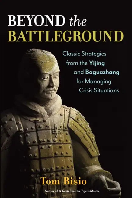 Beyond the Battleground (English, Tom Bisio)