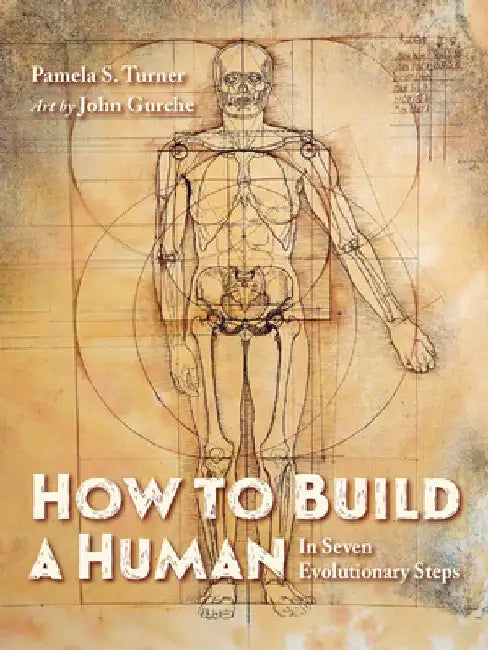 How to Build a Human (English, Pamela S. Turner)