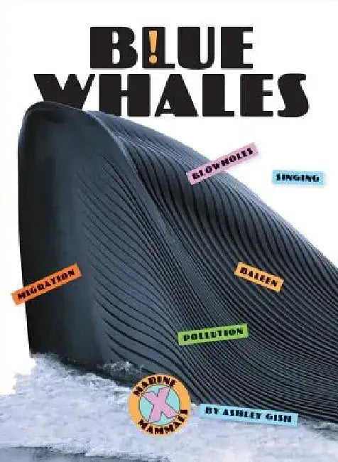Blue Whales (English, Ashley Gish)