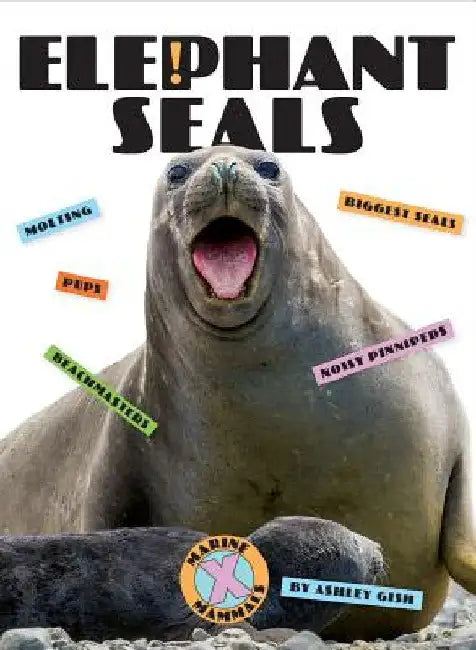 Elephant Seals (English, Ashley Gish)