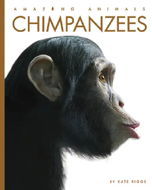 Chimpanzees (English, Kate Riggs)
