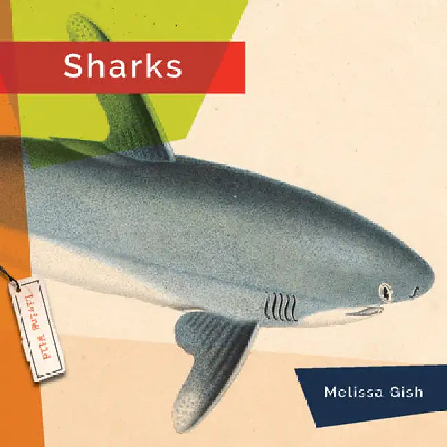 Sharks (English, Melissa Gish)