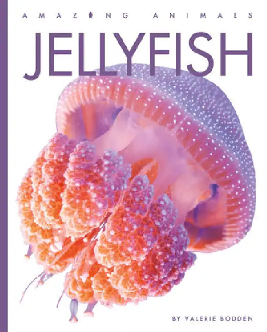 Jellyfish (English, Valerie Bodden)