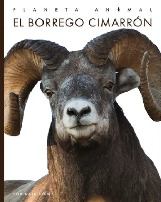 El Borrego Cimarrón (English, Kate Riggs)