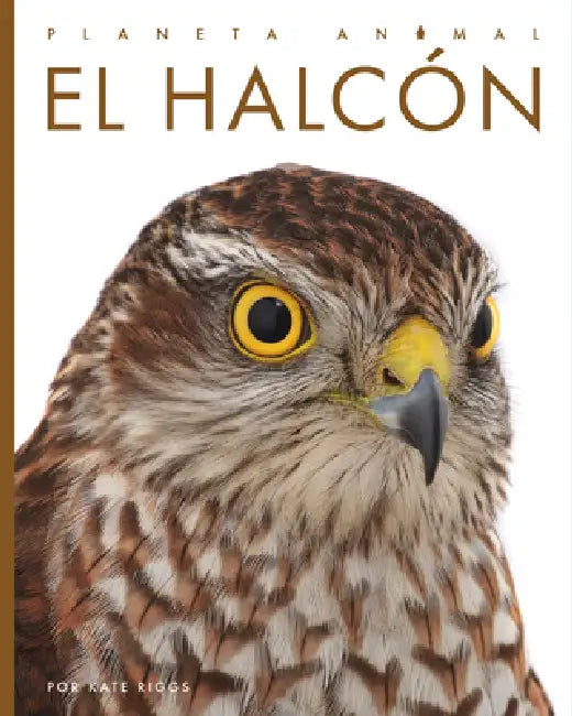 El Halcón (English, Kate Riggs)