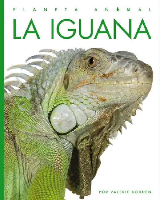La Iguana (English, Valerie Bodden)