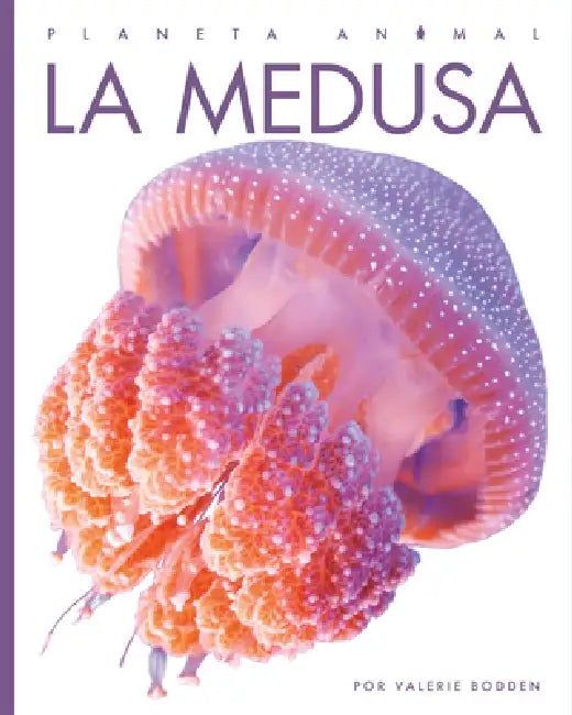 La Medusa (English, Kate Riggs)