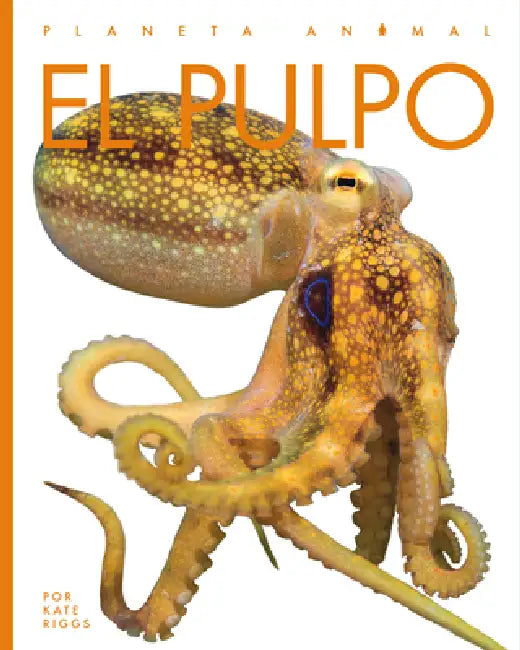 El Pulpo (English, Valerie Bodden)