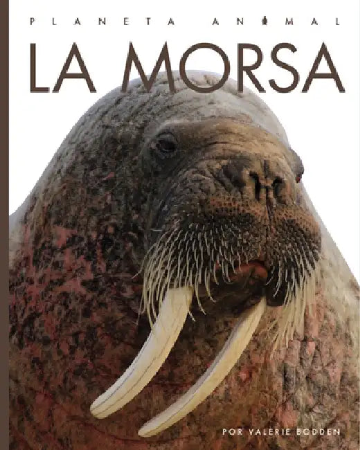 La Morsa (English, Kate Riggs)