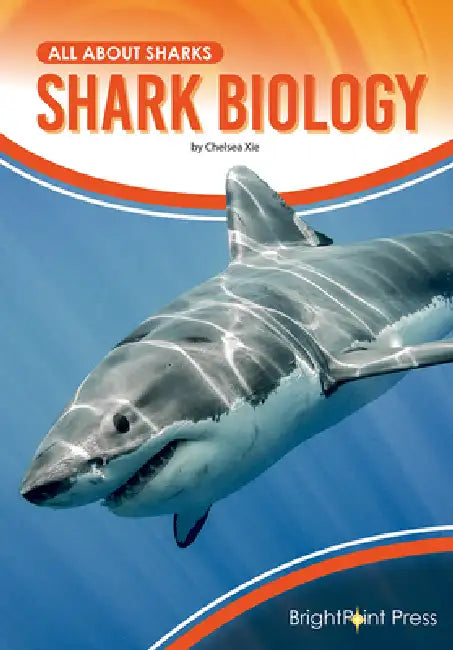 Shark Biology (English, Chelsea Xie)