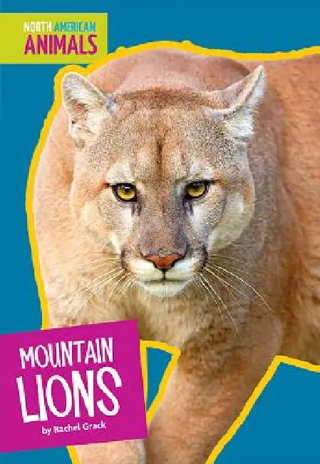Mountain Lions (English, Rachel Grack)