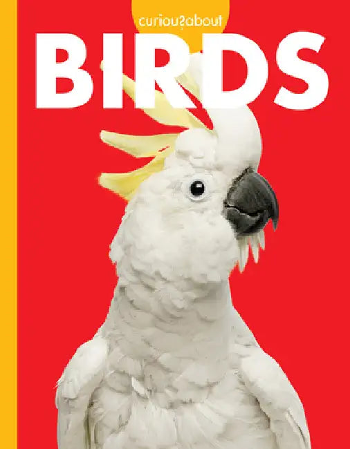 Curious about Birds (English, Jill Sherman)