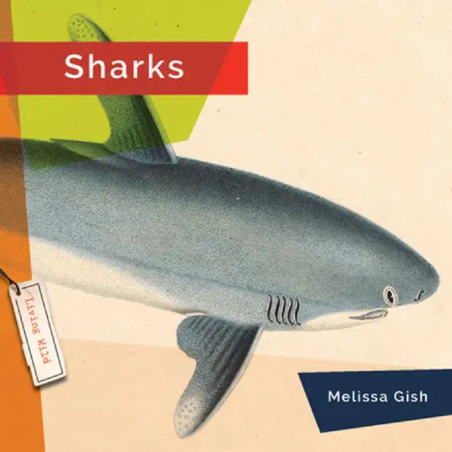 Sharks (English, Melissa Gish)