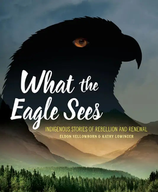 What the Eagle Sees (English)