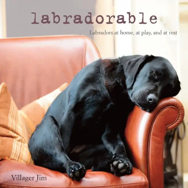 Labradorable (English, Jim | Villager)