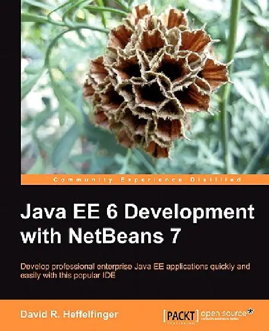 Java Ee 6 Development with Netbeans 7 (English, David Heffelfinger)