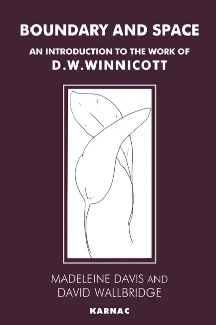 Boundary and Space (English, Madeleine Davis | David Wallbridge)