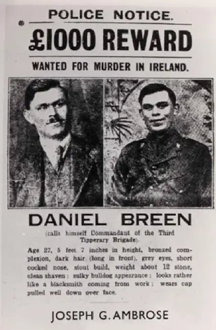 Dan Breen And The IRA (English, Joe Ambrose)