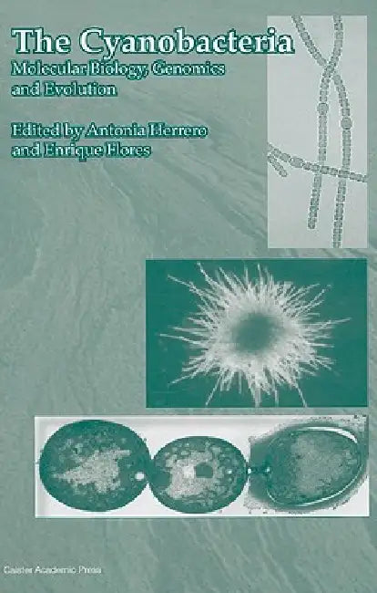The Cyanobacteria (English, Antonia Herrero | Enrique Flores)