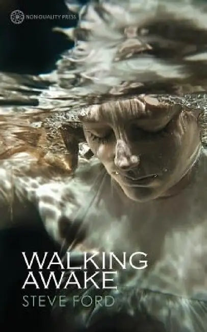 Walking Awake (English, Steve Ford)