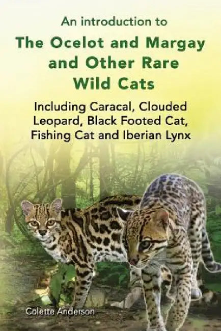 An introduction to The Ocelot and Margay and Other Rare Wild Cats Including Caracal, Clouded Leopard (English, Colette Anderson)