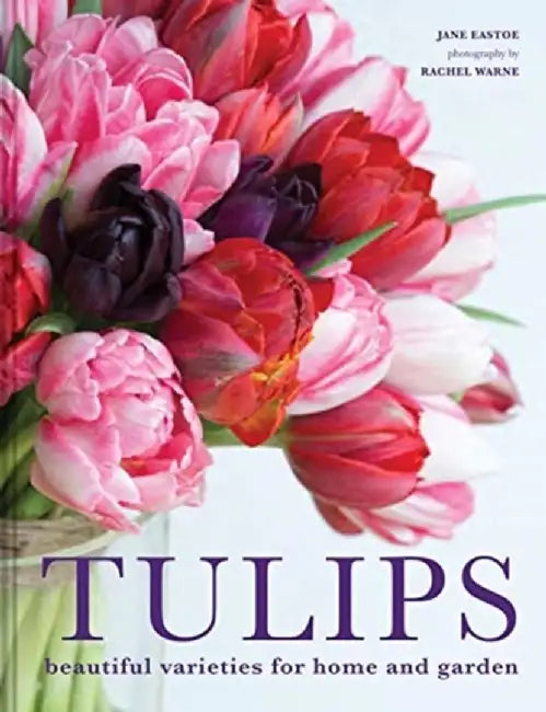 Tulips (English, Jane Eastoe)