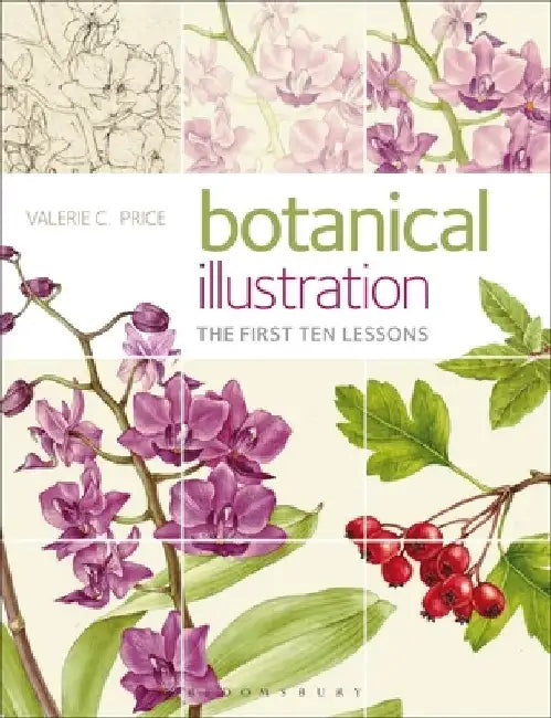 Botanical Illustration (English, Valerie Price)